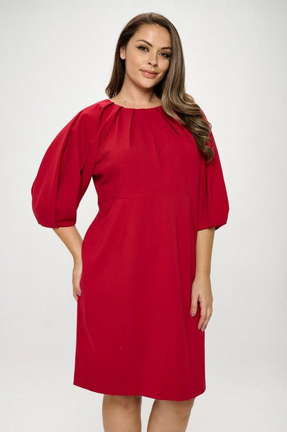 Balloon Sleeve Dress - Shellcreations