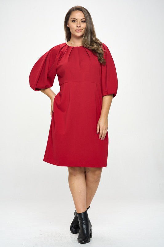Balloon Sleeve Dress - Shellcreations