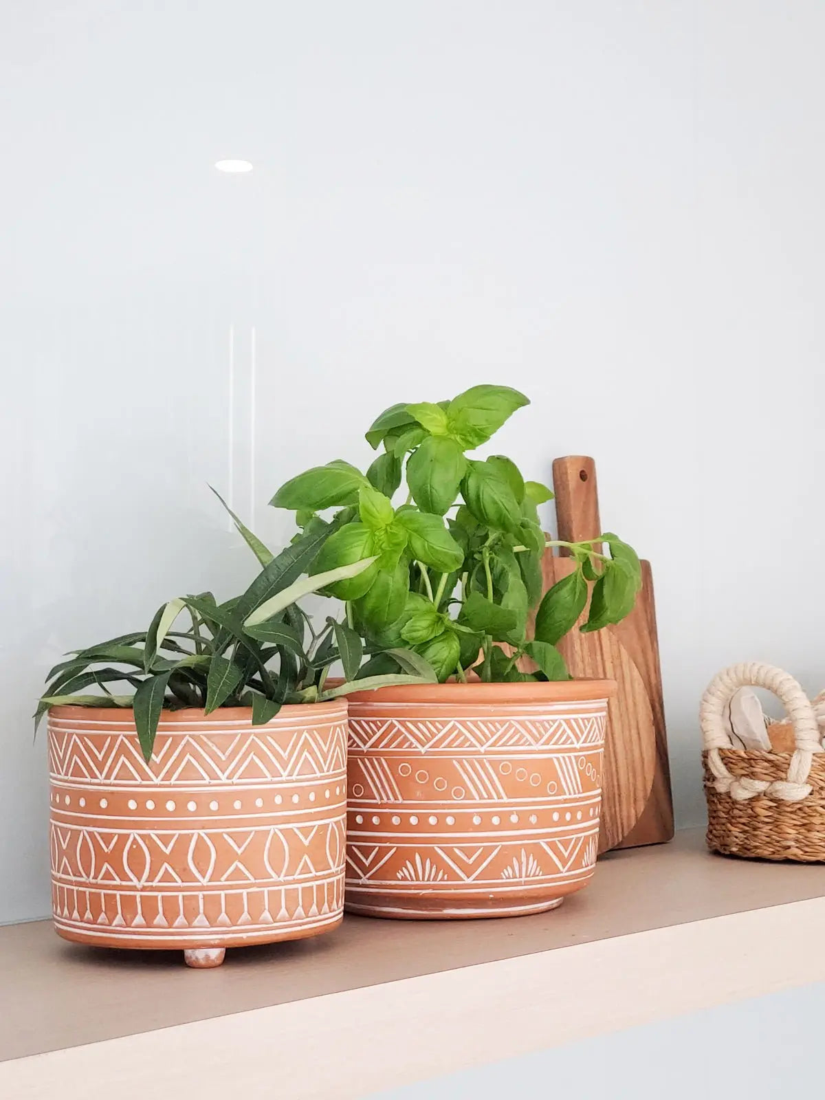 Hand Etched Terracotta Pot - Small - Shellcreations