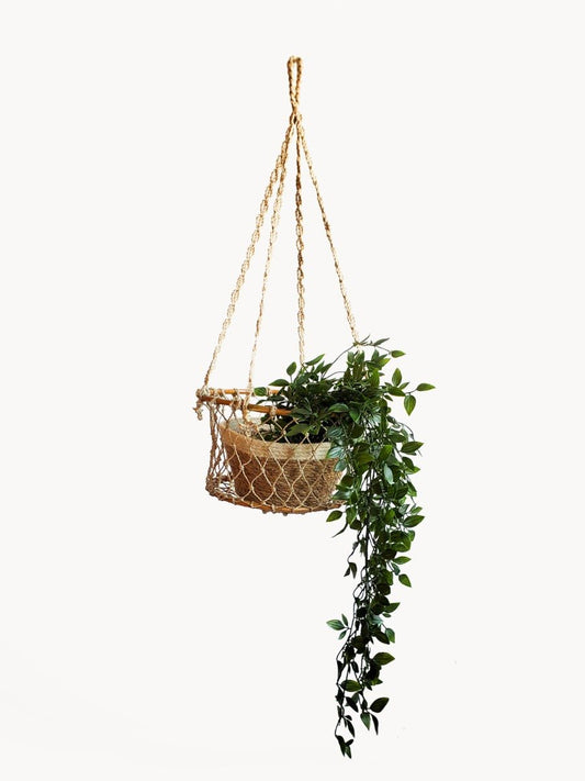 Jhuri Single Hanging Basket - Shellcreations
