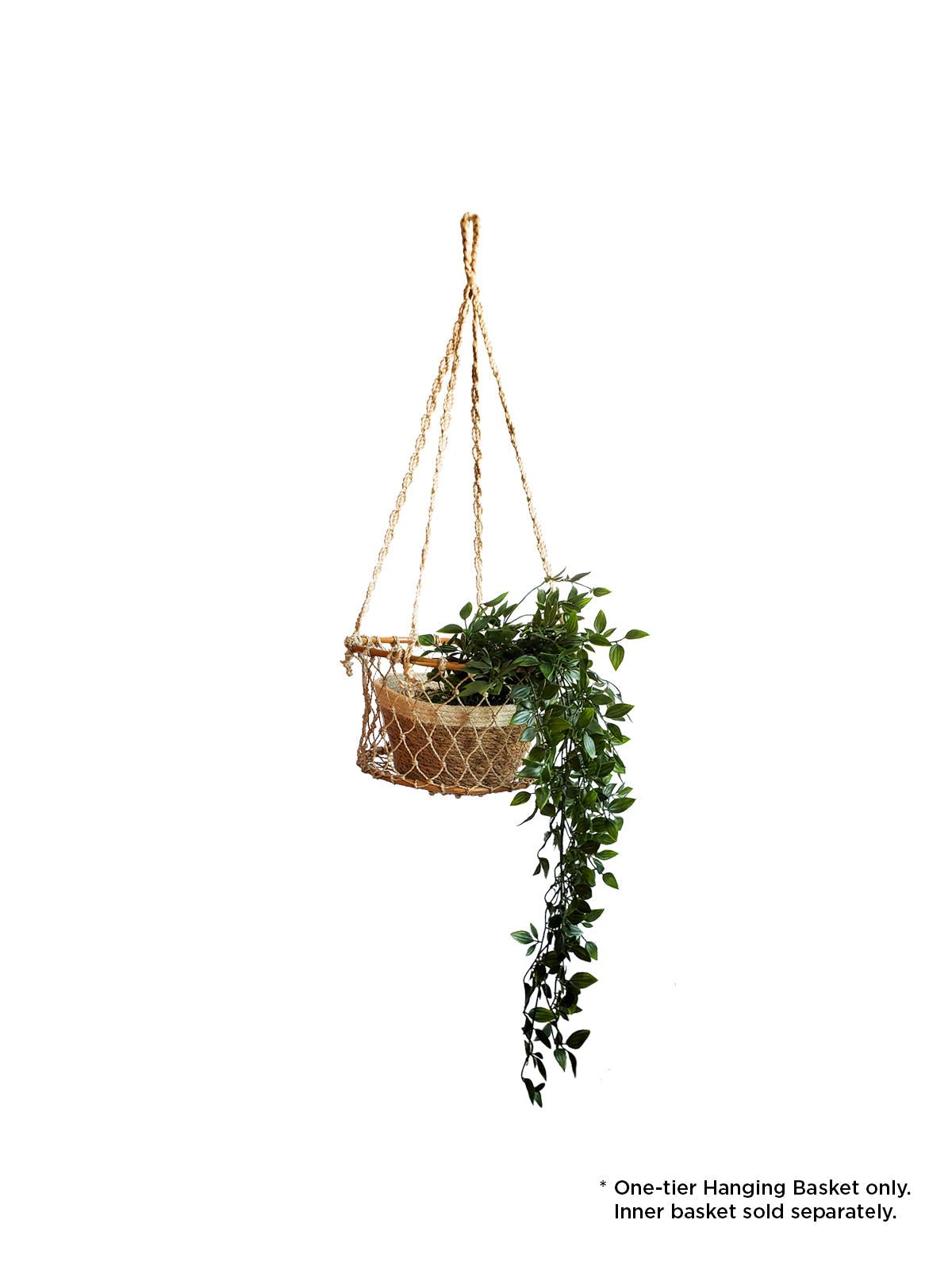 Jhuri Single Hanging Basket - Shellcreations