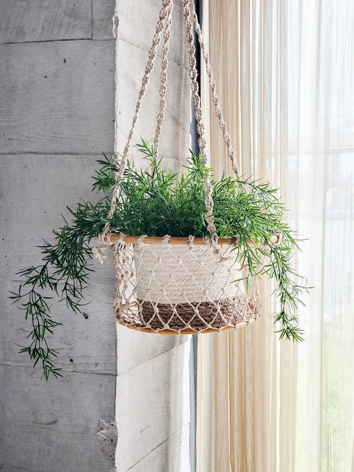 Jhuri Single Hanging Basket - Shellcreations