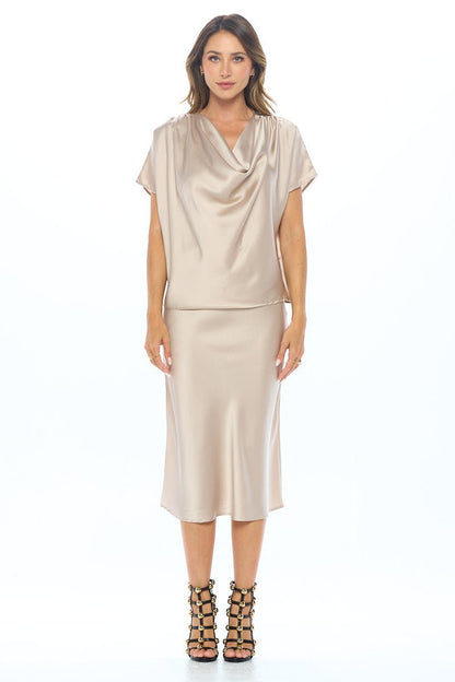 Satin Cowl Neck Short Sleeve Top - Shellcreations