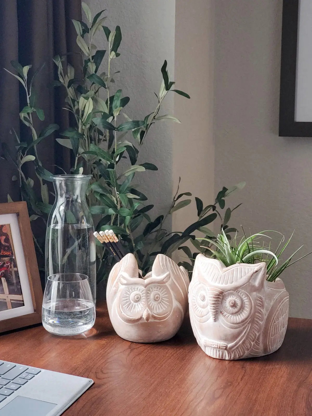 Terracotta Pot - Horned Owl - Shellcreations